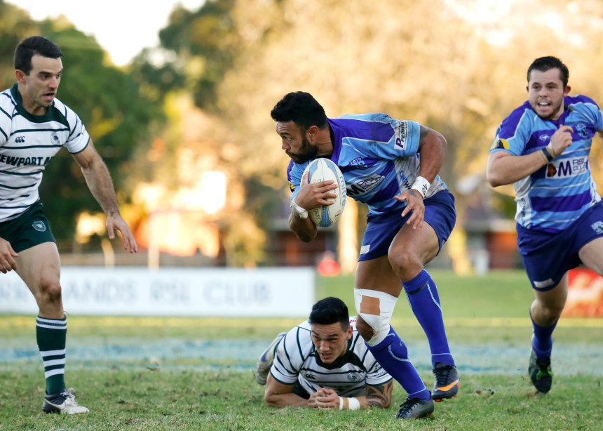 Sosene Anesi_Parra v Warringah_2013_KW