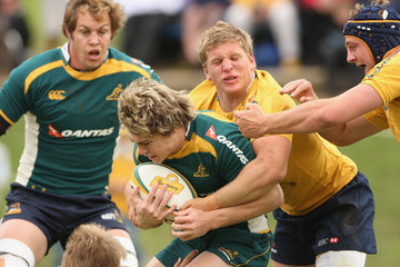 Fitzpatrick Wallabies training