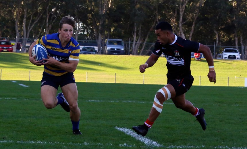 Matt Hood_Wests v Uni_2017_AJF