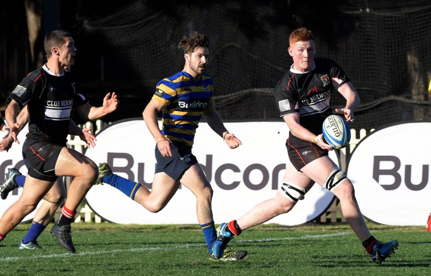 Westharbour 1st Grade v Sydney Uni Shute Shield 2017 Rnd 12