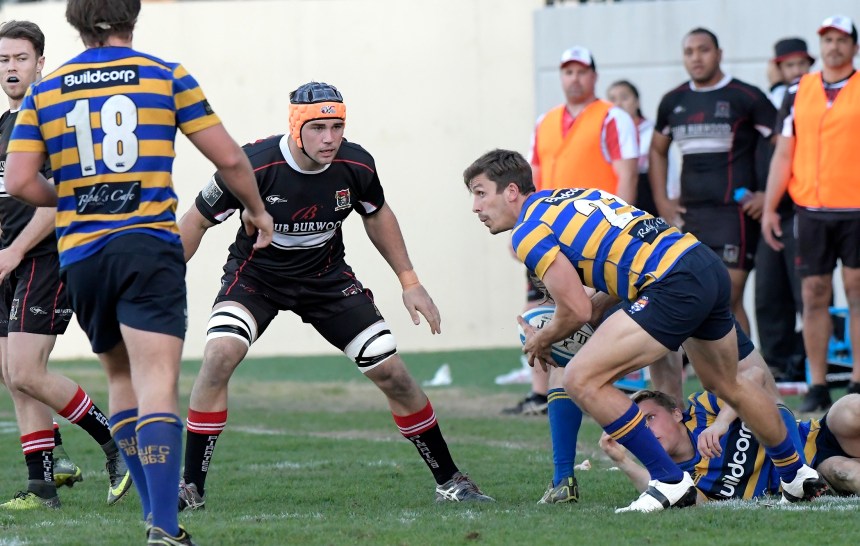 Westharbour 1st Grade v Sydney Uni Shute Shield 2017 Rnd 12