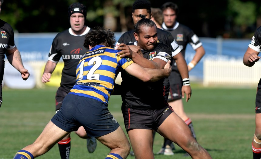 Westharbour 3rd Grade v Sydney Uni Shute Shield 2017 Rnd 12