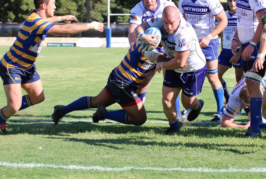 Sam Needs_Eastwood v Sydney Uni_2016_SG