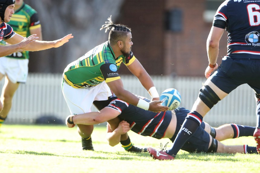 Toeta, Pat passing 140418D-6396.JPG