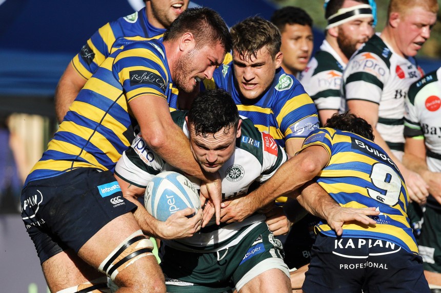 Shute Shield 2019