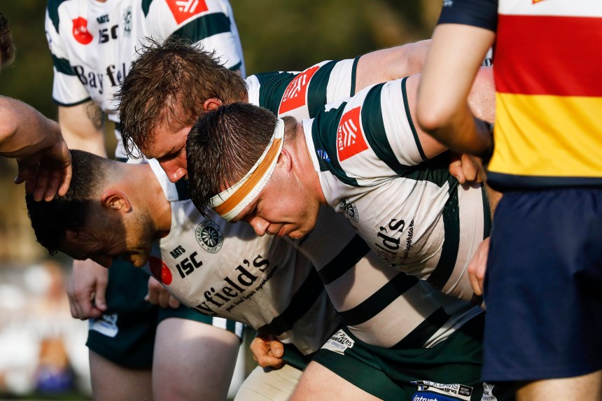 Shute Shield 2019