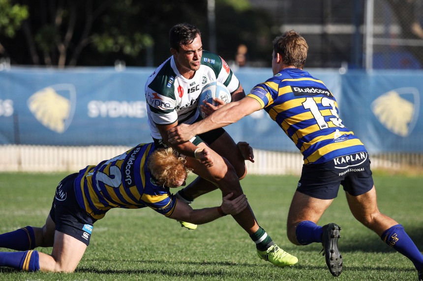 Shute Shield 2019