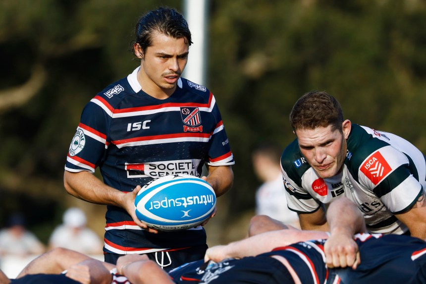 Shute Shield 2019