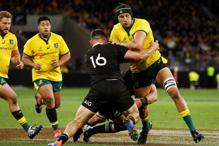 Bledisloe Cup 2019