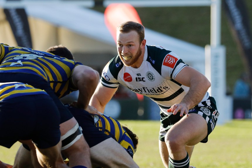 Shute Shield 2019