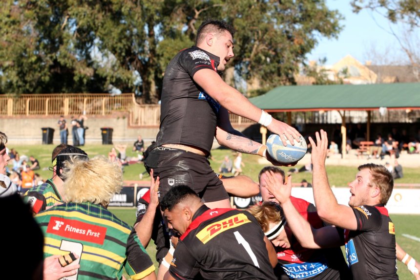 Connor Vest_Norths v Gordon_2019_CC