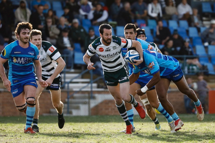 Shute Shield 2019