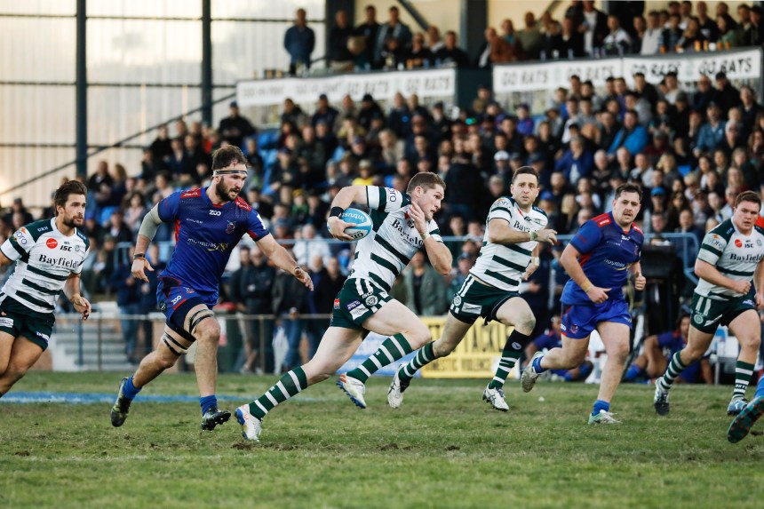 Shute Shield 2019