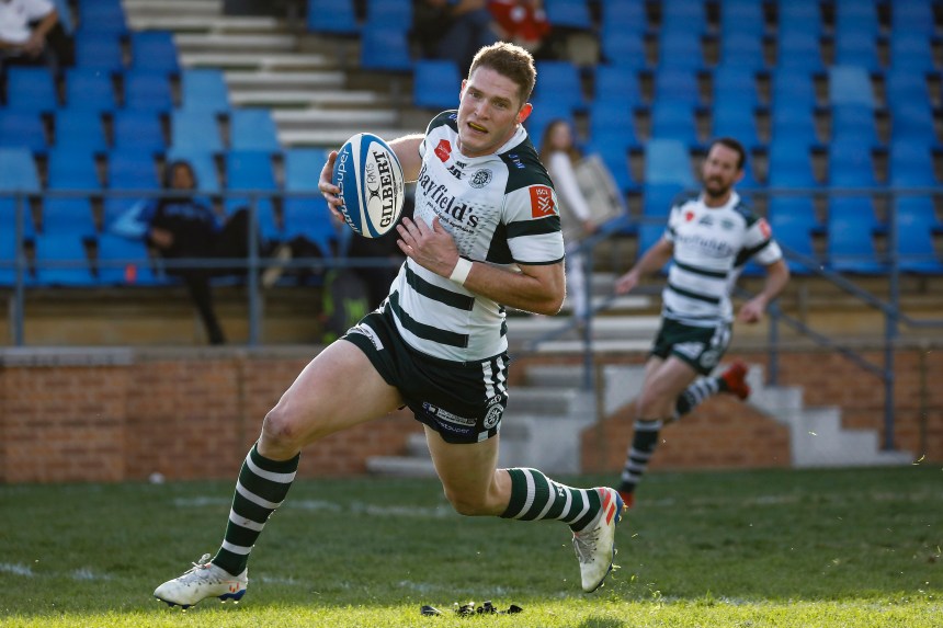 Shute Shield 2019