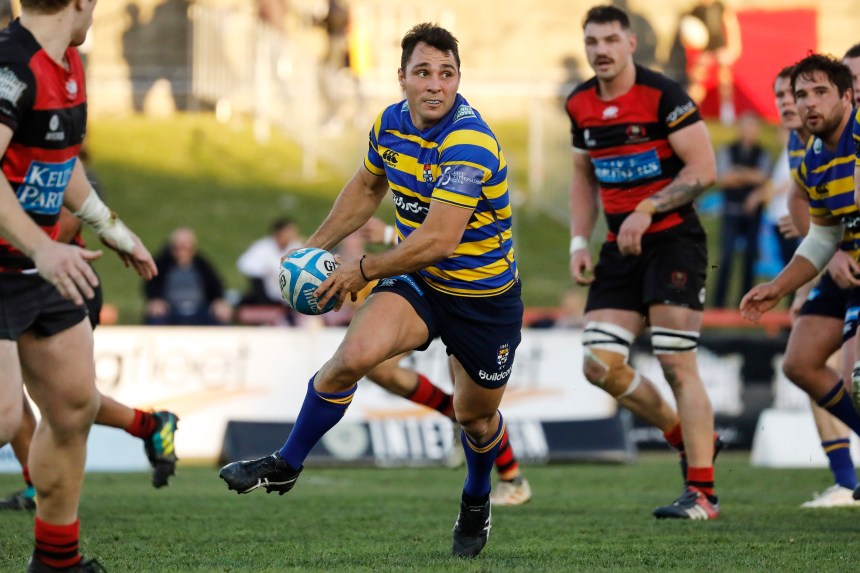 Shute Shield 2019