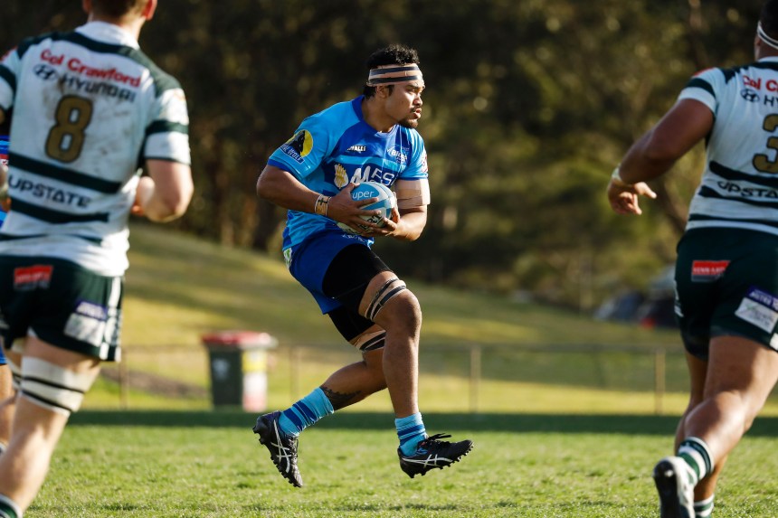 Shute Shield 2019