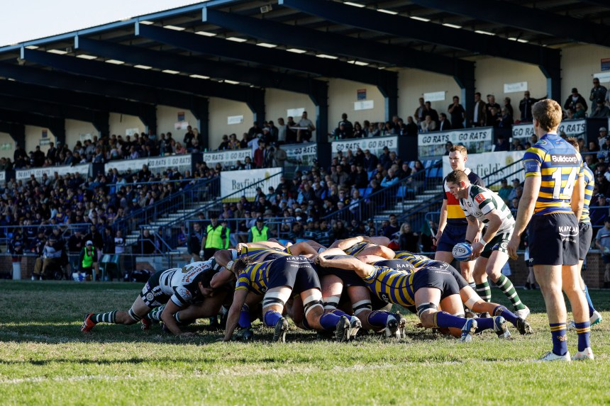 Shute Shield 2019