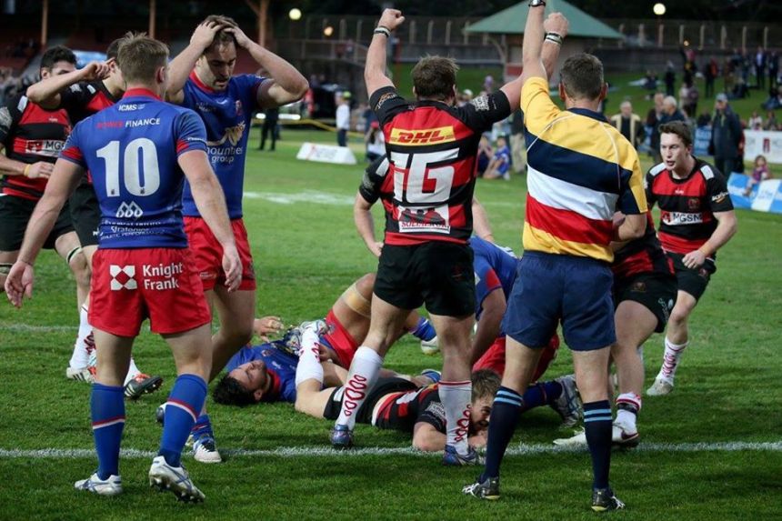 Norths celebrate 2 v Manly_2016_CC