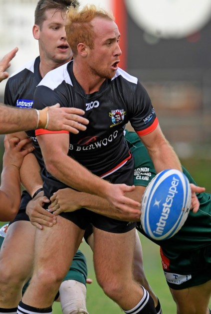 Westharbour 1st Grade v Randwick Rnd 2 2019