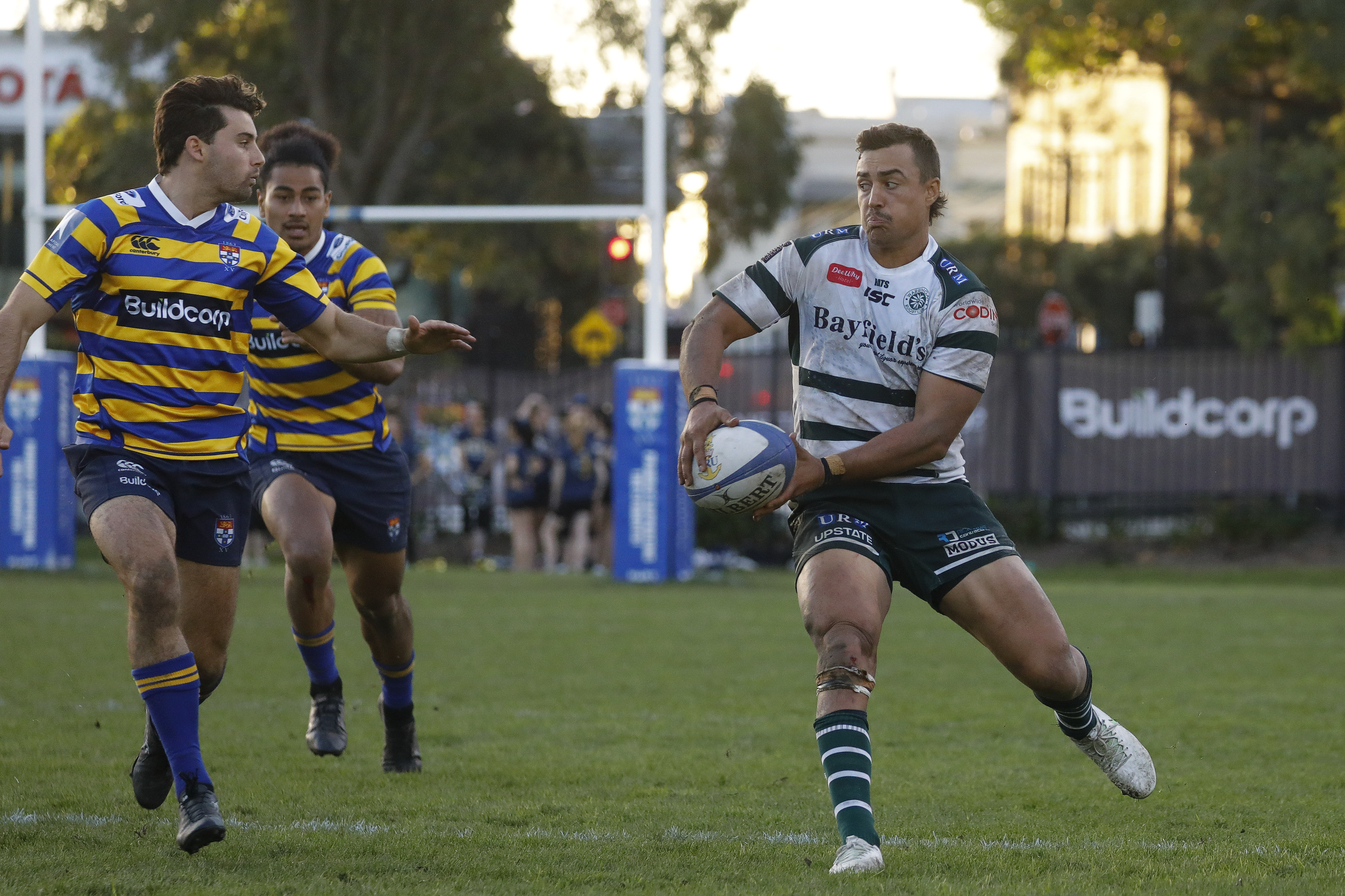 Shute Shield 2021