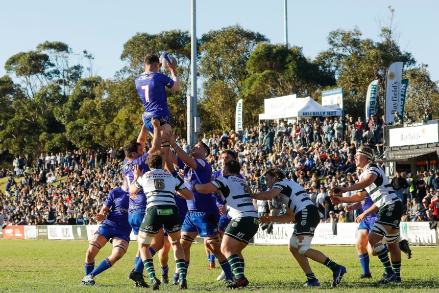 Shute Shield 2021